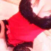 ヒメ日記 2025/04/27 01:45 投稿 藍井おとみ コウテイ