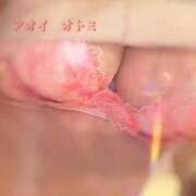 ヒメ日記 2025/08/06 01:15 投稿 藍井おとみ コウテイ