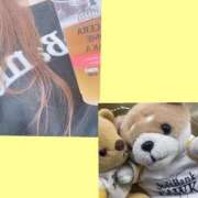 ヒメ日記 2025/09/28 20:56 投稿 藍井おとみ コウテイ