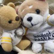 ヒメ日記 2025/10/15 19:55 投稿 藍井おとみ コウテイ