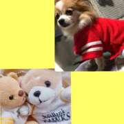 ヒメ日記 2025/10/20 22:15 投稿 藍井おとみ コウテイ