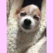 ヒメ日記 2025/10/26 00:25 投稿 藍井おとみ コウテイ