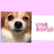 ヒメ日記 2025/12/23 22:17 投稿 藍井おとみ コウテイ