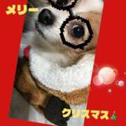 ヒメ日記 2025/12/24 20:15 投稿 藍井おとみ コウテイ