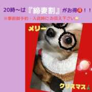 ヒメ日記 2025/12/25 20:55 投稿 藍井おとみ コウテイ