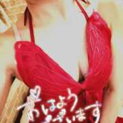 ヒメ日記 2024/12/08 07:16 投稿 来栖さな コウテイ