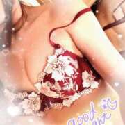 ヒメ日記 2024/12/09 23:44 投稿 来栖さな コウテイ