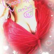 ヒメ日記 2024/12/14 07:17 投稿 来栖さな コウテイ