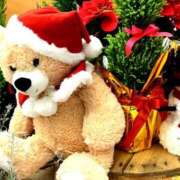 ヒメ日記 2024/12/23 12:25 投稿 来栖さな コウテイ