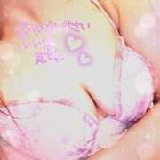 ヒメ日記 2025/02/05 23:27 投稿 来栖さな コウテイ