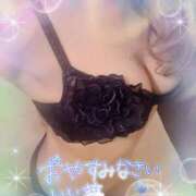 ヒメ日記 2025/03/31 23:02 投稿 来栖さな コウテイ