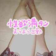 ヒメ日記 2025/06/06 19:15 投稿 来栖さな コウテイ