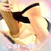 ヒメ日記 2025/06/18 22:01 投稿 来栖さな コウテイ