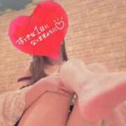 ヒメ日記 2025/08/15 07:05 投稿 来栖さな コウテイ