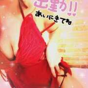 ヒメ日記 2025/08/15 12:25 投稿 来栖さな コウテイ