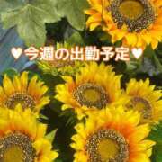 ヒメ日記 2025/08/20 12:25 投稿 来栖さな コウテイ