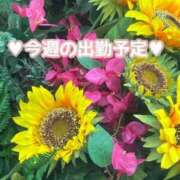 ヒメ日記 2025/08/21 12:25 投稿 来栖さな コウテイ
