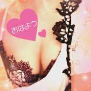 ヒメ日記 2025/11/21 07:25 投稿 来栖さな コウテイ