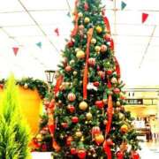 ヒメ日記 2025/12/24 07:15 投稿 来栖さな コウテイ