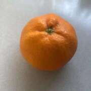 ヒメ日記 2026/01/10 08:55 投稿 来栖さな コウテイ