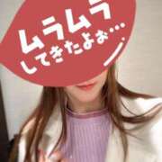 ヒメ日記 2026/02/01 14:35 投稿 来栖さな コウテイ