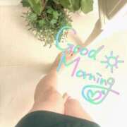 ヒメ日記 2026/02/02 07:16 投稿 来栖さな コウテイ