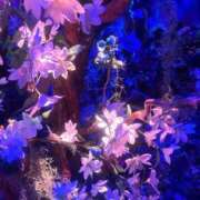 ヒメ日記 2026/03/01 12:50 投稿 来栖さな コウテイ