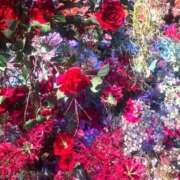 ヒメ日記 2026/04/23 12:45 投稿 来栖さな コウテイ