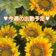 ヒメ日記 2026/09/02 12:49 投稿 来栖さな コウテイ