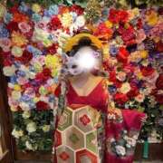 ヒメ日記 2026/02/01 03:53 投稿 りんりん【経験極浅】 club MUTEKI