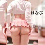 ヒメ日記 2024/12/20 08:00 投稿 はなび カワサキEROTIC（ソープランド）