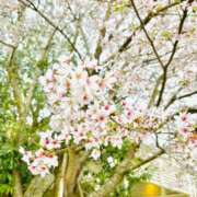 ヒメ日記 2025/02/20 17:00 投稿 はなび カワサキEROTIC（ソープランド）