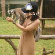 ヒメ日記 2025/04/10 12:00 投稿 はなび カワサキEROTIC（ソープランド）