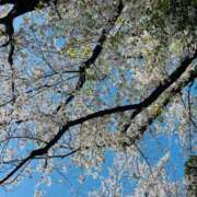 ヒメ日記 2025/04/14 12:00 投稿 はなび カワサキEROTIC（ソープランド）