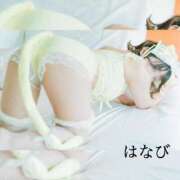 ヒメ日記 2025/05/24 17:02 投稿 はなび カワサキEROTIC（ソープランド）