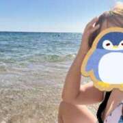 ヒメ日記 2025/12/17 12:30 投稿 はなび カワサキEROTIC（ソープランド）