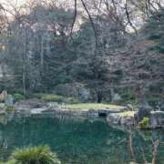 ヒメ日記 2026/01/16 22:01 投稿 はなび カワサキEROTIC（ソープランド）