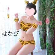 ヒメ日記 2026/02/03 16:51 投稿 はなび カワサキEROTIC（ソープランド）