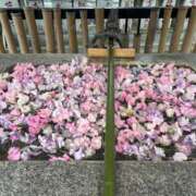 ヒメ日記 2026/02/14 16:55 投稿 はなび カワサキEROTIC（ソープランド）