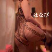ヒメ日記 2026/07/16 12:30 投稿 はなび カワサキEROTIC（ソープランド）
