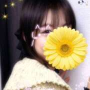 いずみ お休みだよ♡ 東京メロい