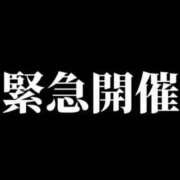 ヒメ日記 2024/04/12 01:12 投稿 みか ラブファクトリー