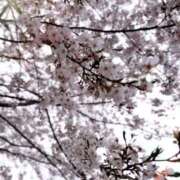 ヒメ日記 2025/04/06 23:32 投稿 みか SOAPLAND LOVE FACTORY