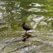 ヒメ日記 2025/05/21 20:34 投稿 みか SOAPLAND LOVE FACTORY