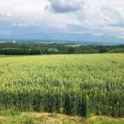 ヒメ日記 2025/05/22 01:42 投稿 みか SOAPLAND LOVE FACTORY