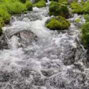 ヒメ日記 2025/05/22 02:02 投稿 みか SOAPLAND LOVE FACTORY