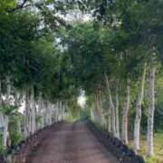 ヒメ日記 2025/05/23 04:49 投稿 みか SOAPLAND LOVE FACTORY