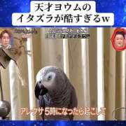 ヒメ日記 2026/01/06 11:34 投稿 みか SOAPLAND LOVE FACTORY