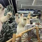 ヒメ日記 2026/01/06 18:52 投稿 みか SOAPLAND LOVE FACTORY