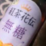 ヒメ日記 2026/02/17 05:52 投稿 みか SOAPLAND LOVE FACTORY